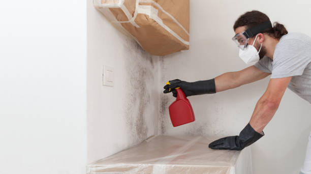 Professional Mold Remediation technician working in Alden, MI